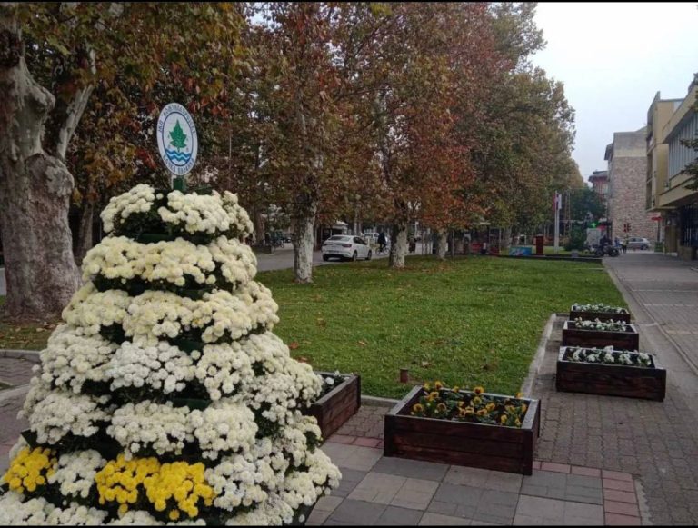 Јесење уређење Бачке Паланке